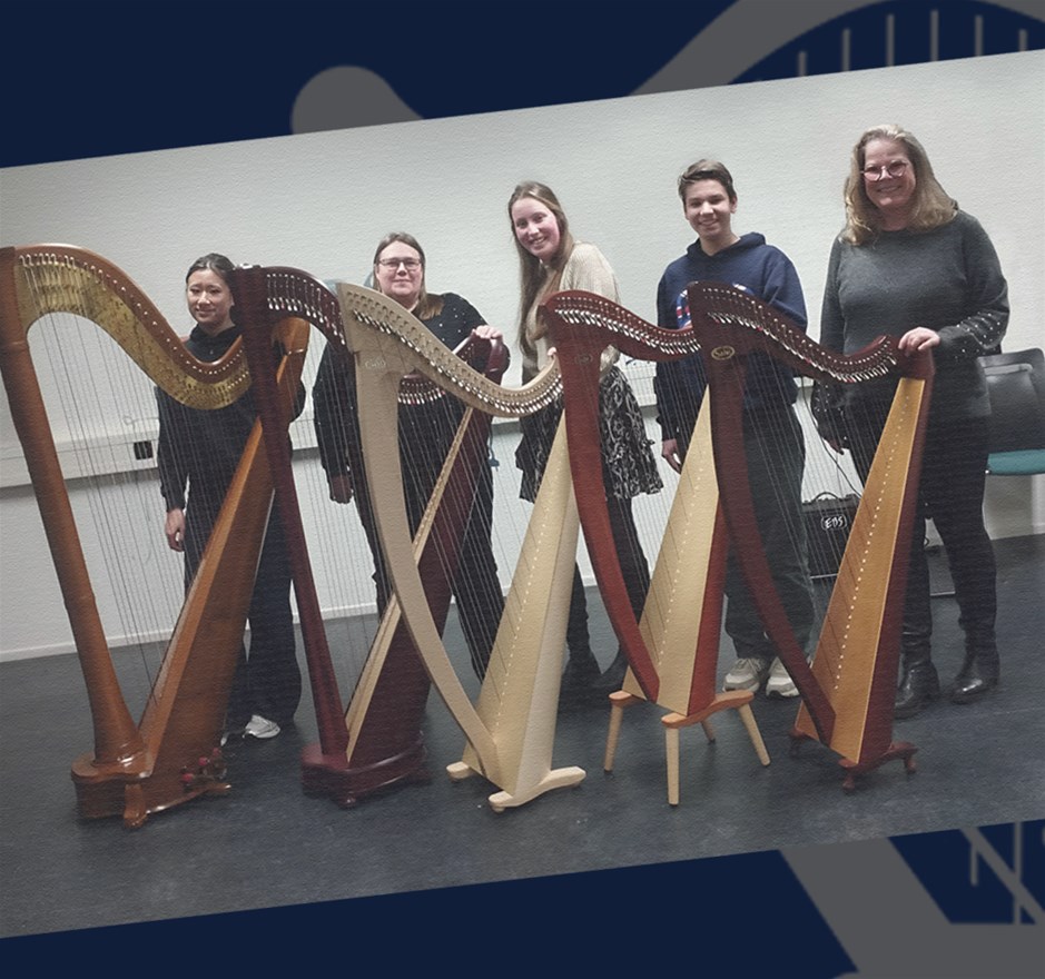Harpconcert in Huis van Waalwijk